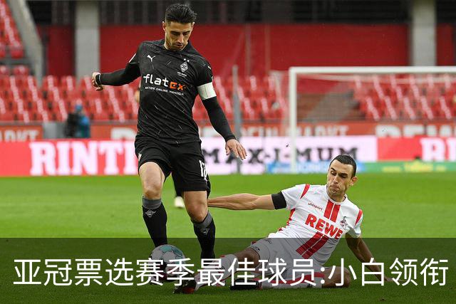 亚冠票选赛季最佳球员:小白领衔 奥古比埃拉上榜